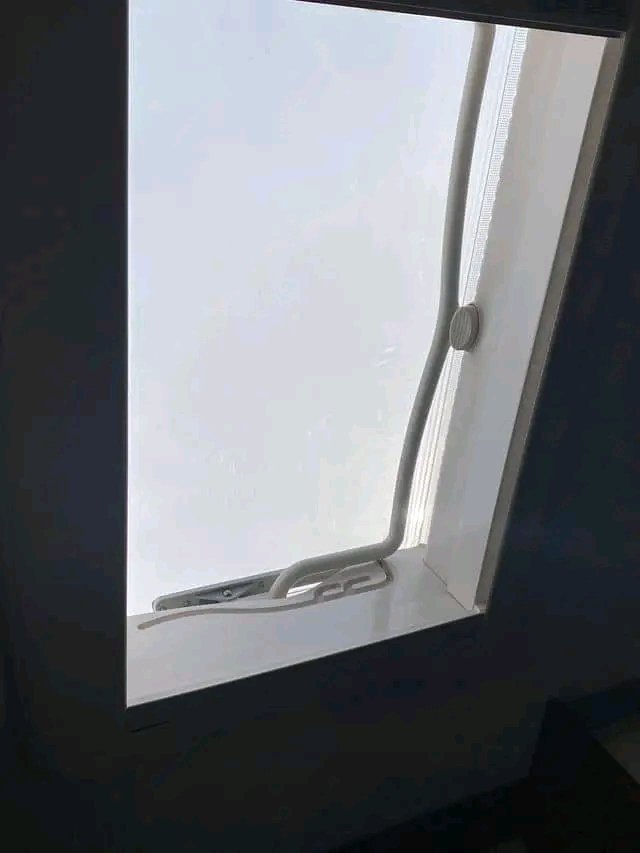 1703923953049.jpg