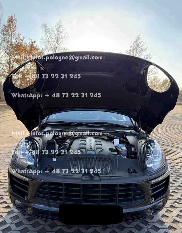 FB_IMG_1741348710483