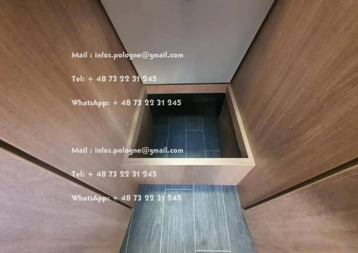 FB_IMG_1741694664831