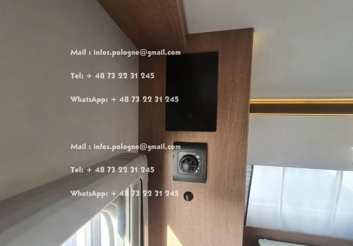 FB_IMG_1741694739405