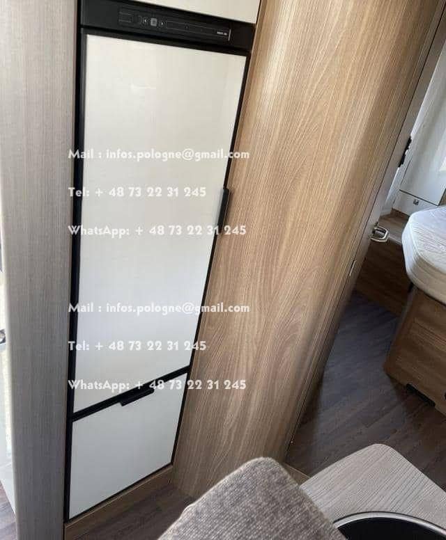 FB_IMG_1741695691729