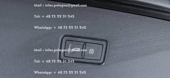 FB_IMG_1741713812023