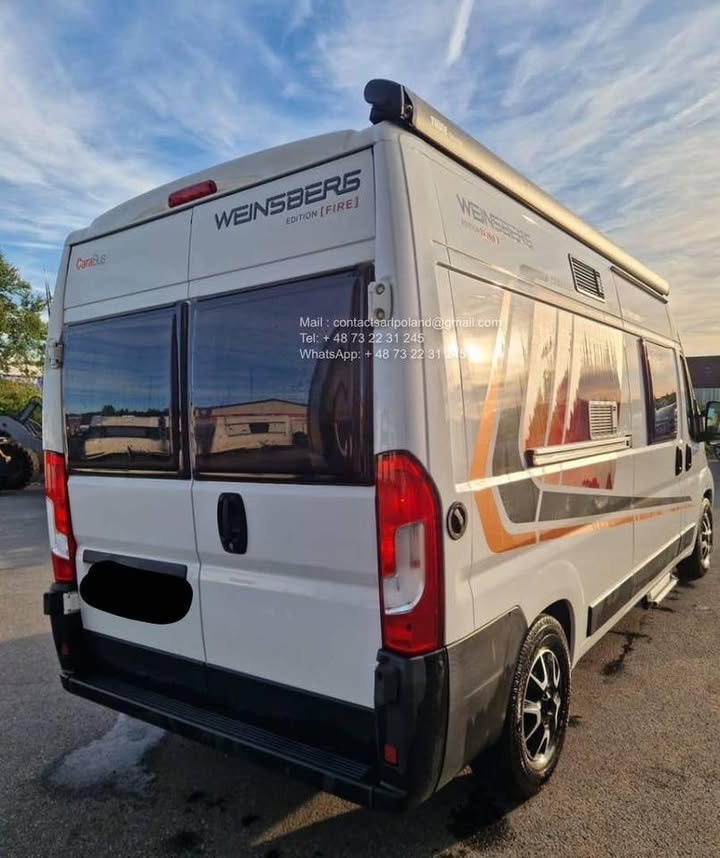 FB_IMG_1774040645259