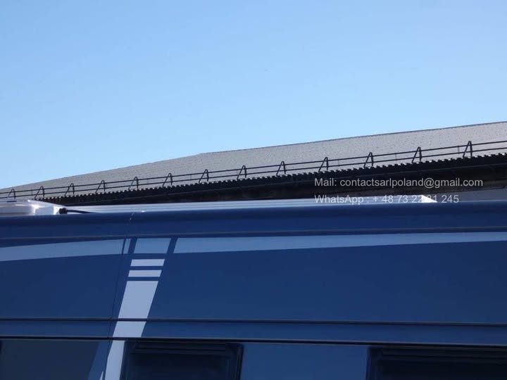 FB_IMG_1774594545671