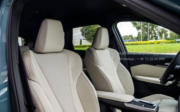 FB_IMG_1774598279319