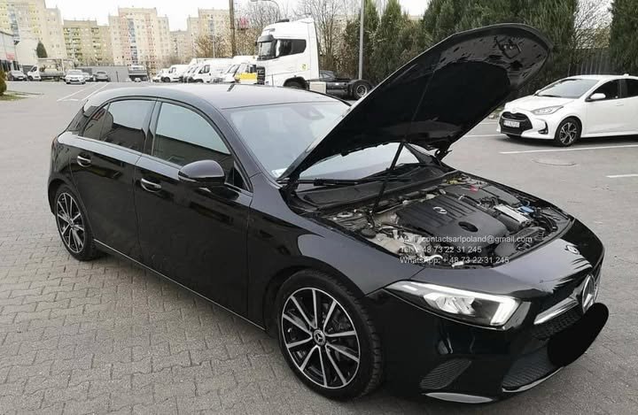 FB_IMG_1774650886684