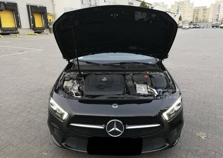 FB_IMG_1774650890013