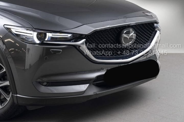 FB_IMG_1775032924071