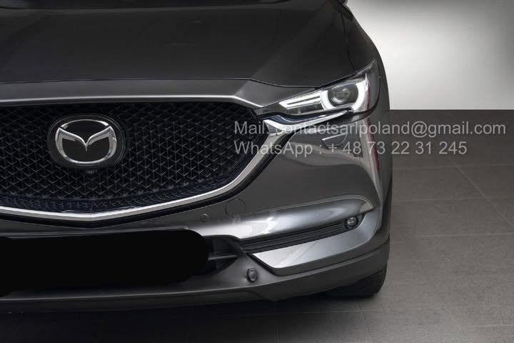 FB_IMG_1775032968679