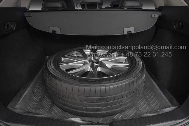 FB_IMG_1775032989157