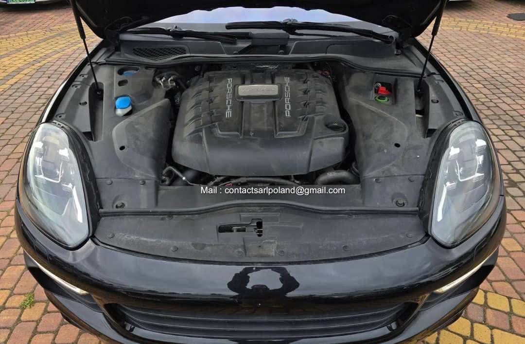 FB_IMG_1775284290580