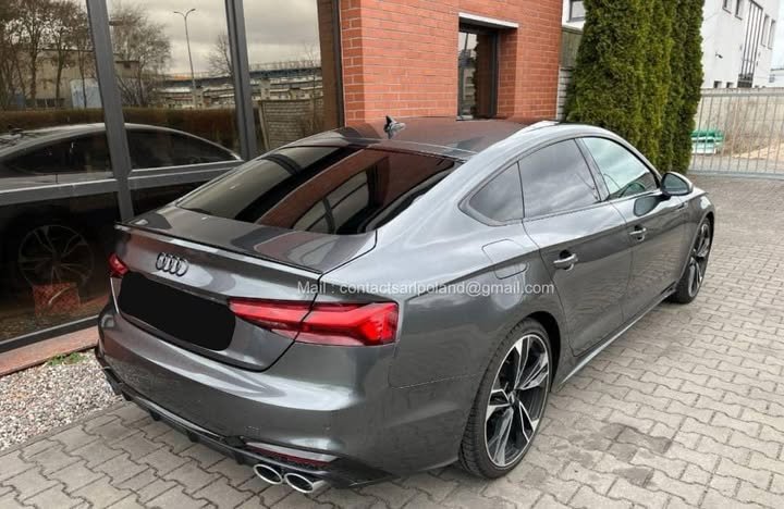 FB_IMG_1775650395461